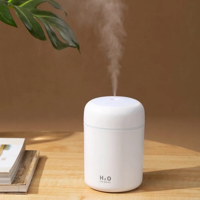 air humidifier